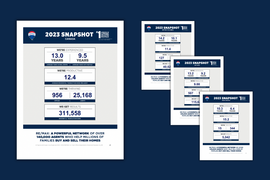 Consumer Snapshot